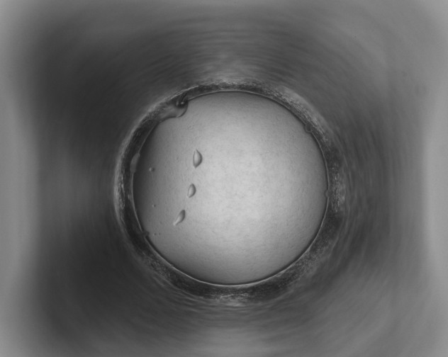 X0000102280680200808081503