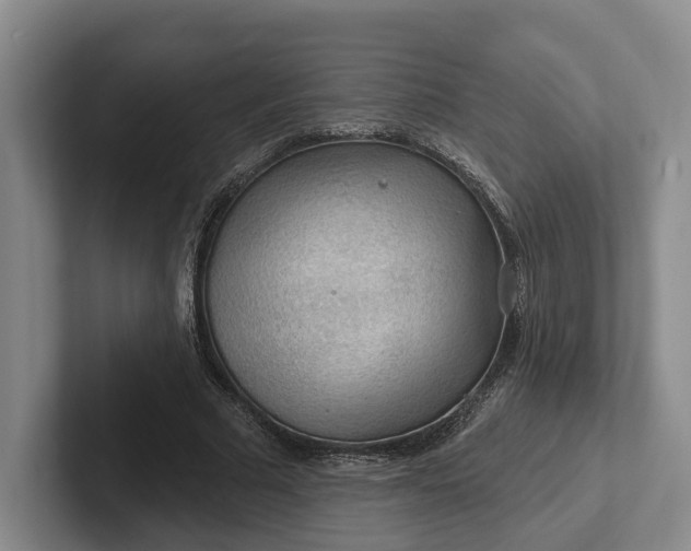 X0000102280681200808081503