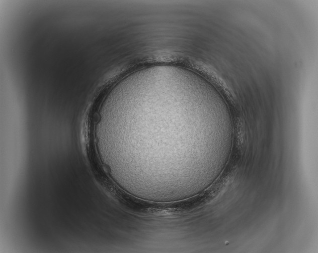 X0000102280683200808081503