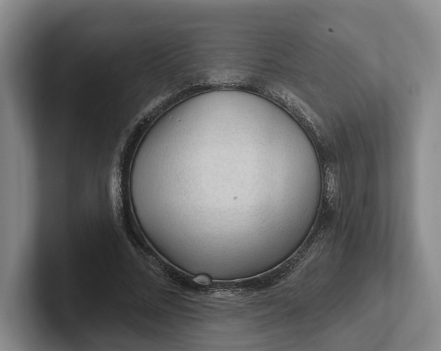 X0000102280684200808081503