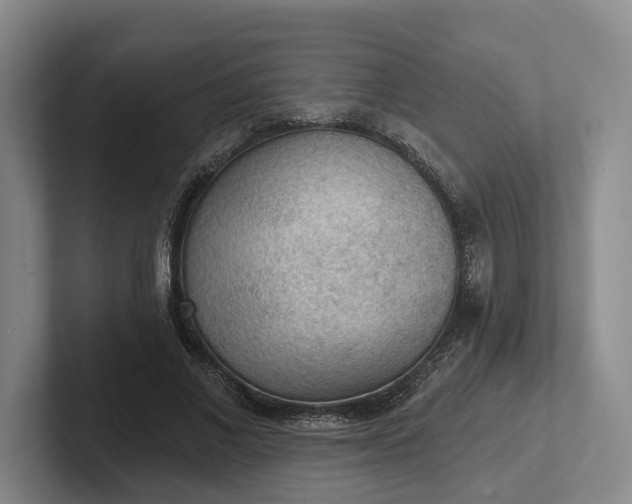 X0000102280685200808081502