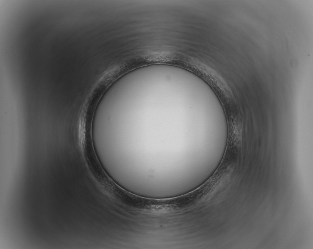 X0000102280686200808081502