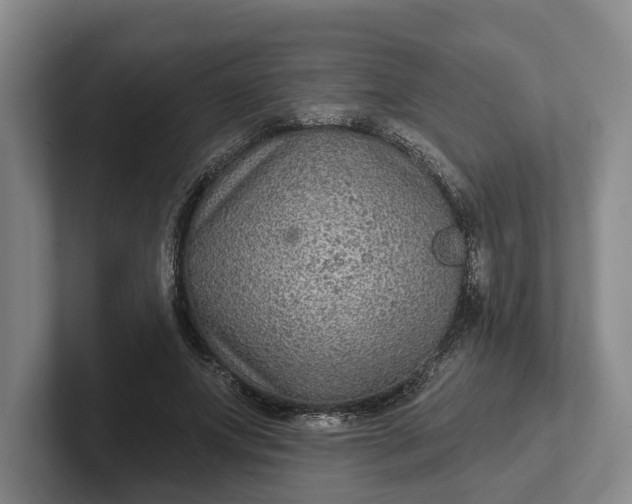 X0000102280687200808081502