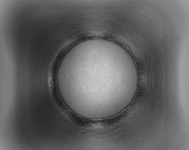 X0000102280688200808081502