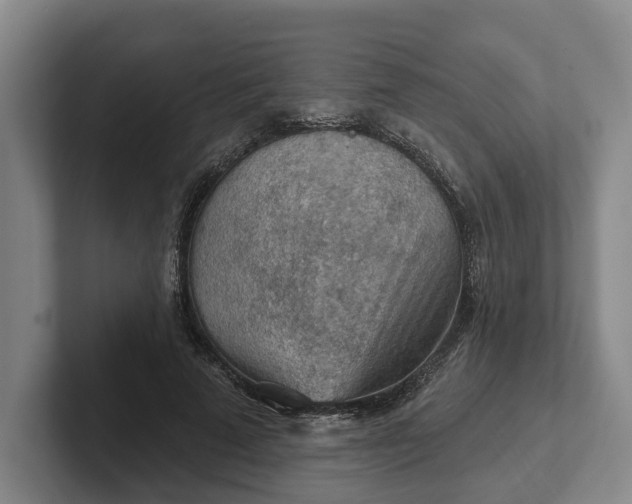 X0000102280689200808081502