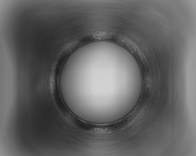 X0000102280690200808081502