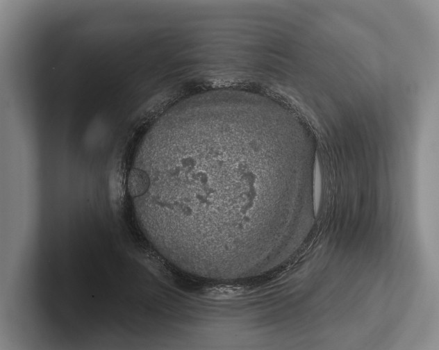 X0000102280691200808081502