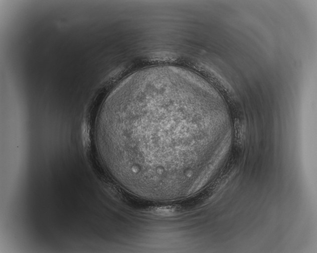 X0000102280692200808081502