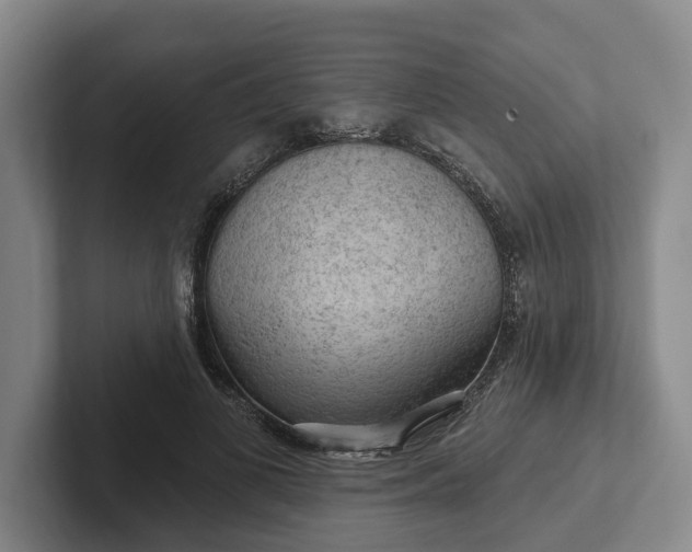 X0000102280693200808081502