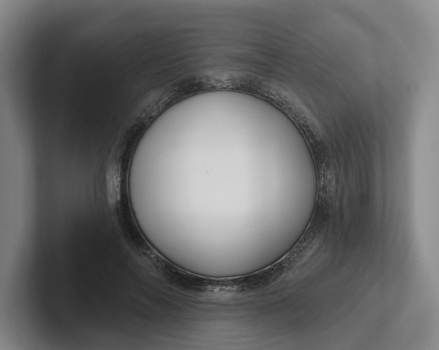 X0000102280694200808081502