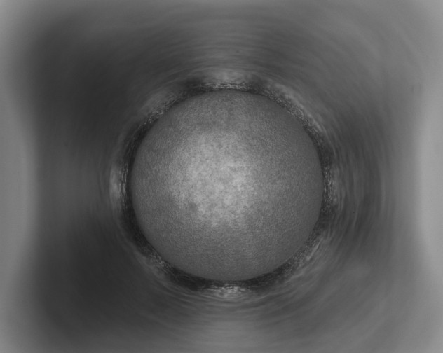 X0000102280695200808081502