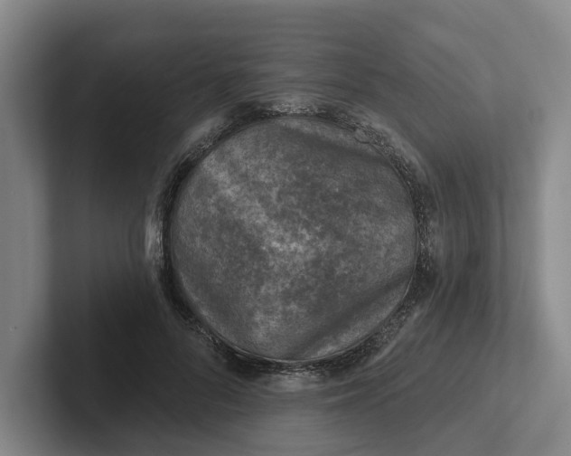 X0000102280696200808081502