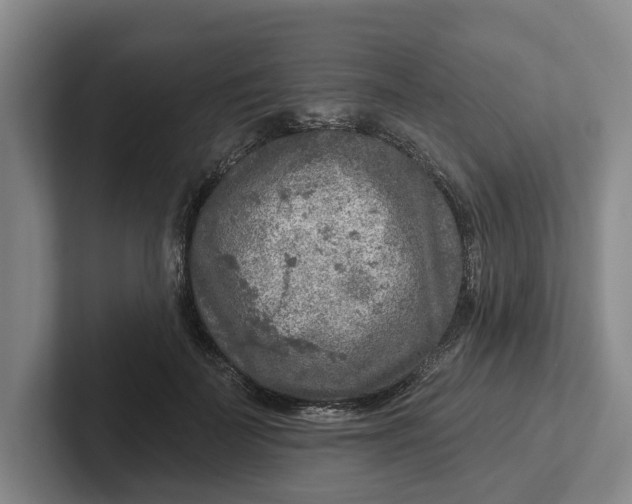 X0000102280699200808081502