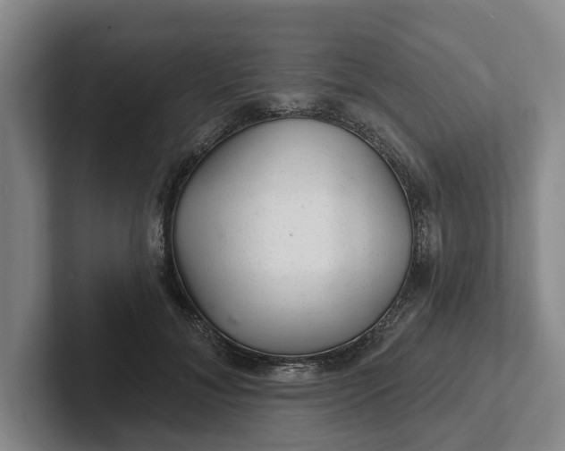 X0000102280700200808081502