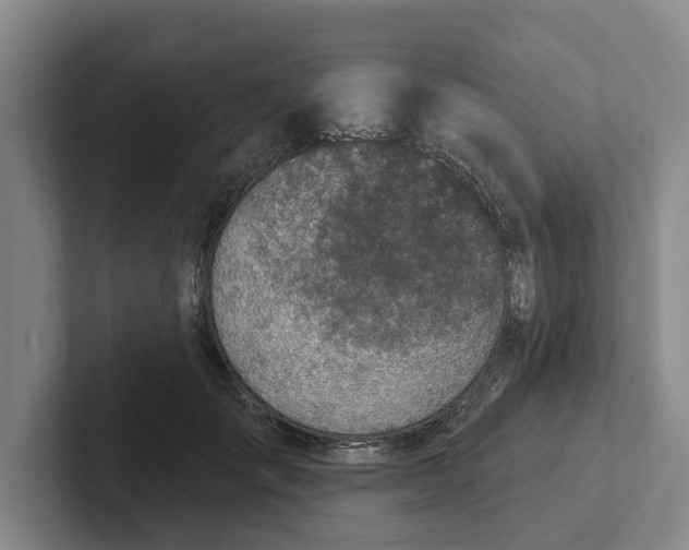 X0000102280701200808081502