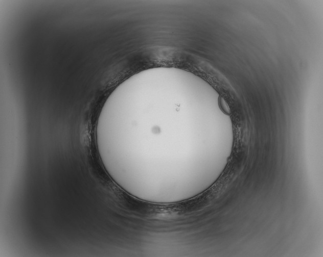 X0000102280702200808081502