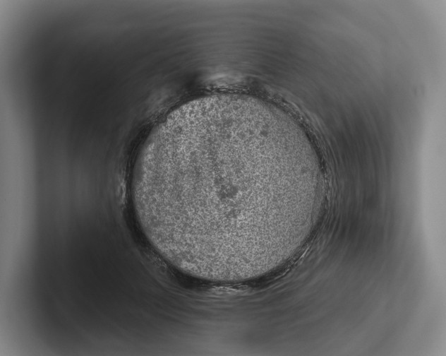 X0000102280703200808081502