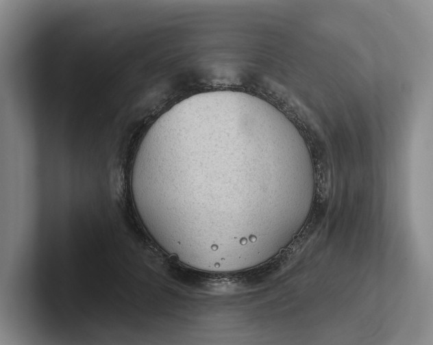 X0000102280704200808081502