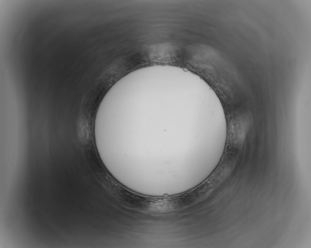 X0000102280705200808081502