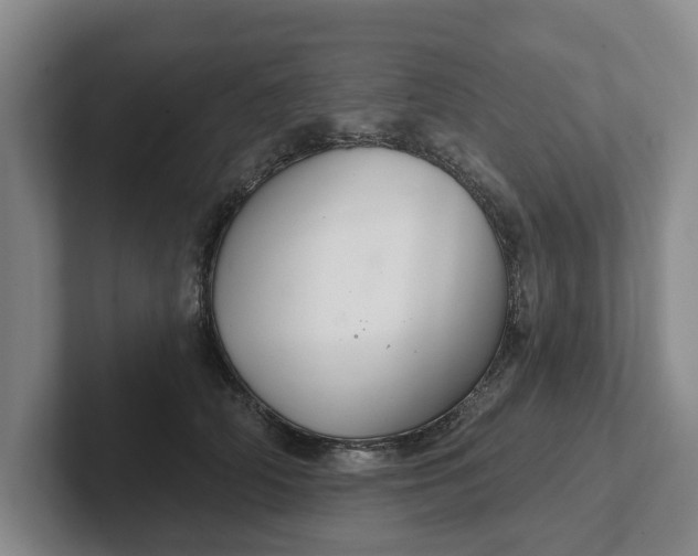 X0000102280706200808081502