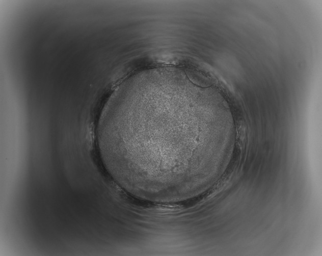 X0000102280707200808081502