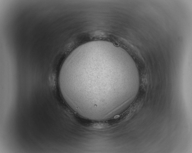 X0000102280708200808081502