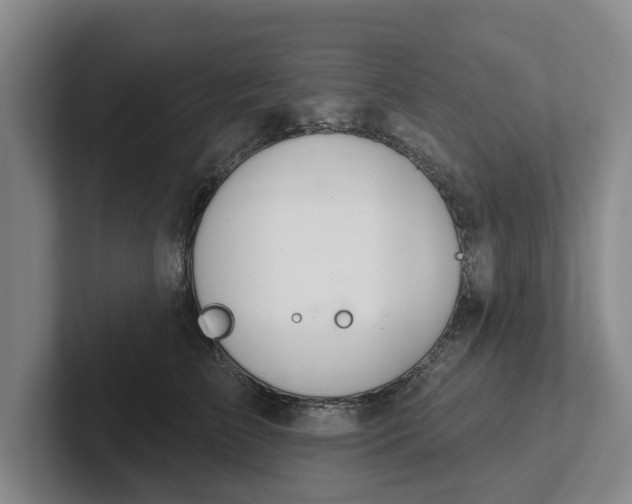 X0000102280709200808081502