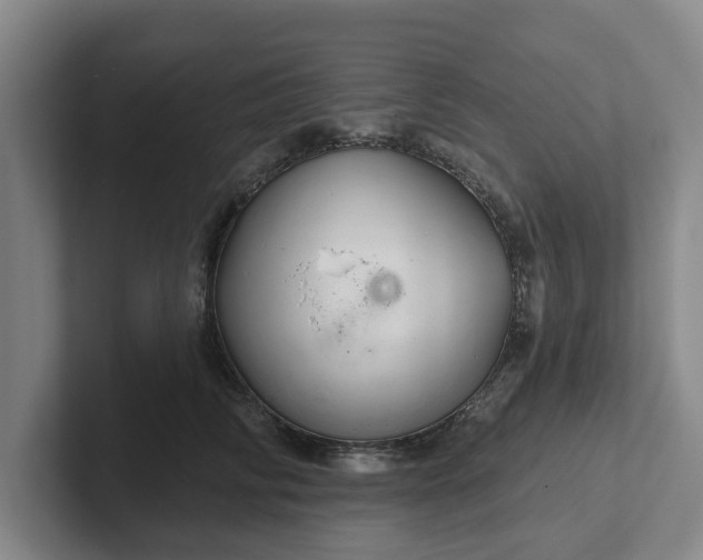 X0000102280710200808081502