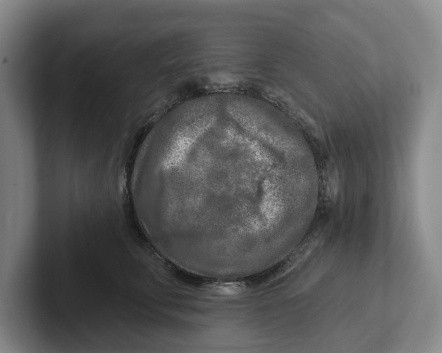 X0000102280711200808081502