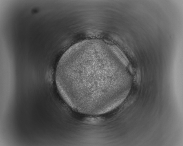 X0000102280712200808081502