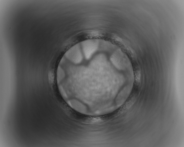 X0000102280715200808081502