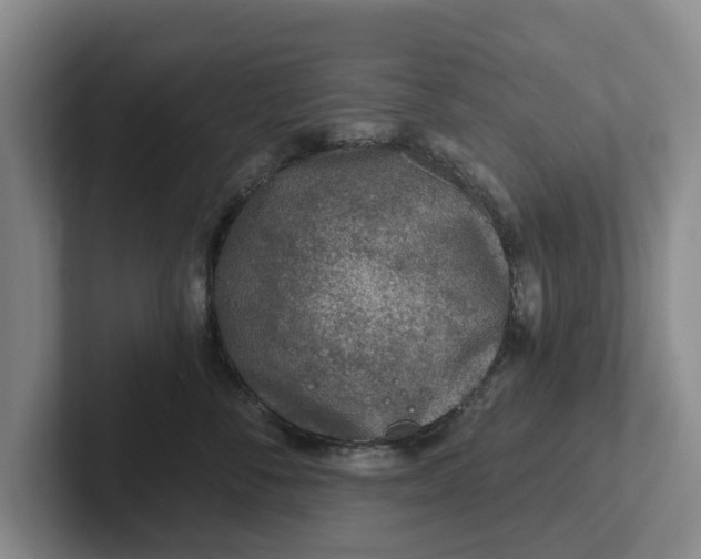 X0000102280716200808081502