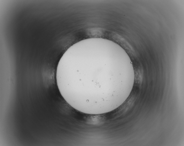 X0000102280717200808081502