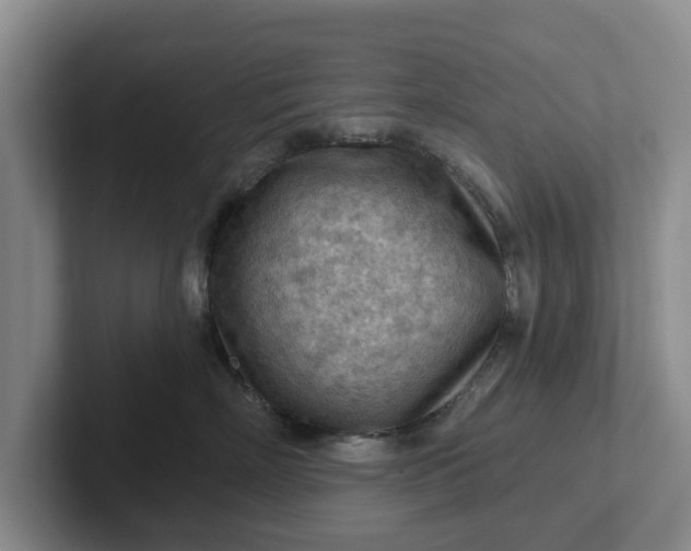 X0000102280718200808081502