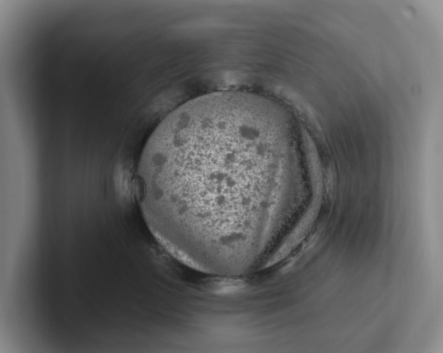 X0000102280719200808081502