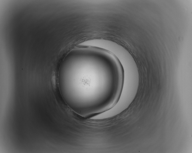 X0000102280720200808081502