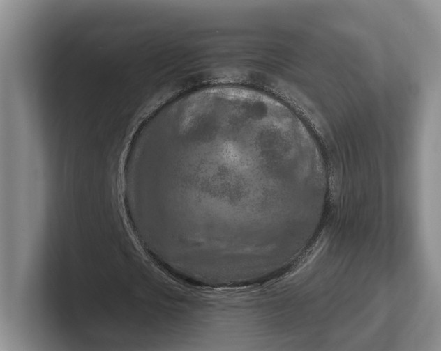 X0000102280721200808081501