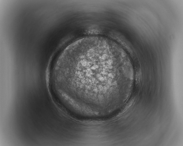 X0000102280722200808081501