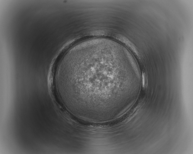 X0000102280723200808081501