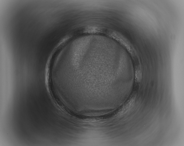 X0000102280724200808081501