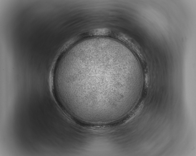 X0000102280725200808081501