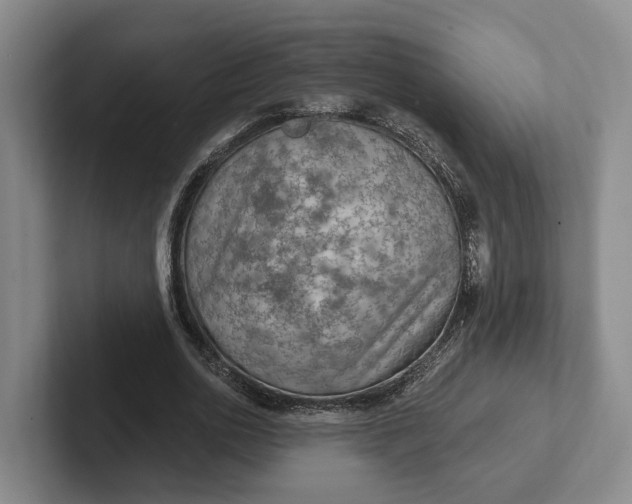 X0000102280726200808081501