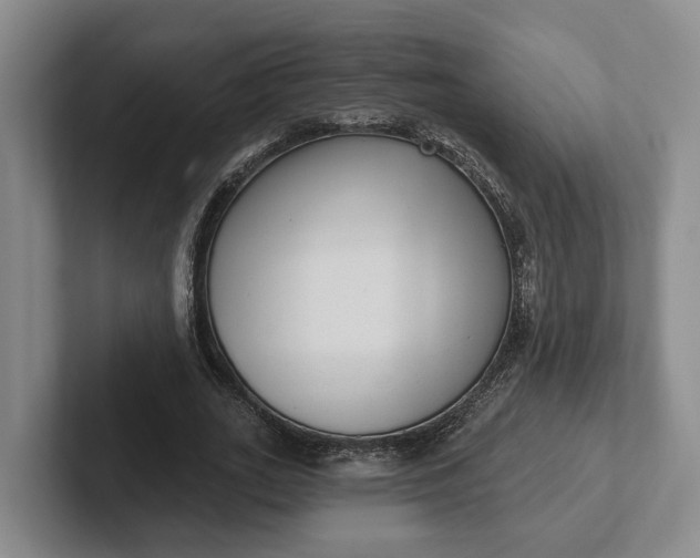 X0000102280727200808081501