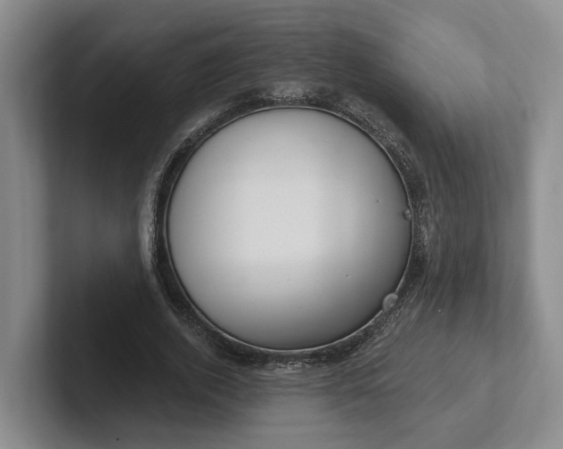 X0000102280728200808081502