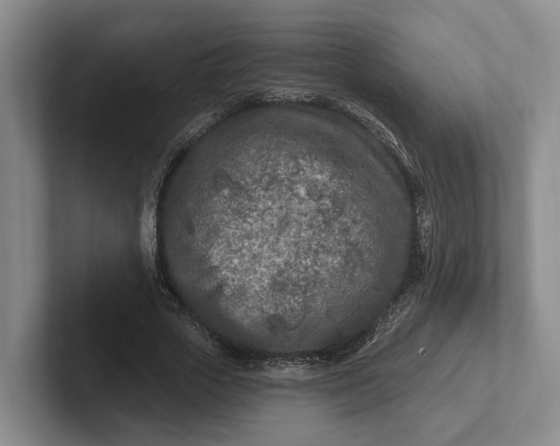 X0000102280729200808081502