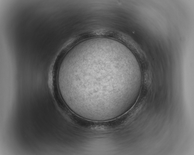 X0000102280730200808081502