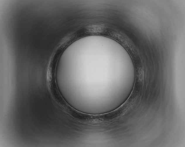 X0000102280731200808081502