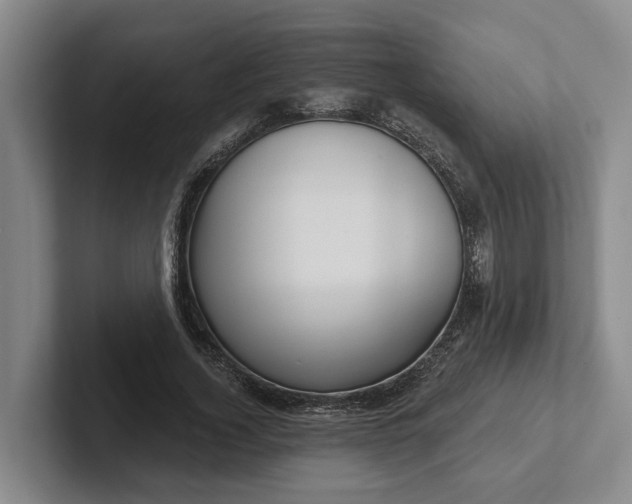 X0000102280732200808081502