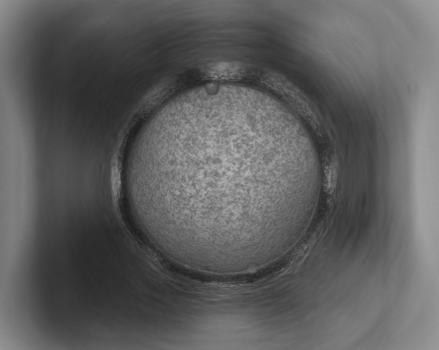 X0000102280733200808081502