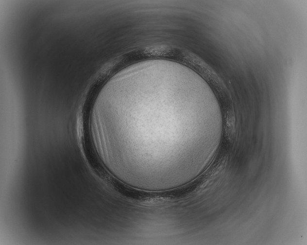 X0000102280734200808081502